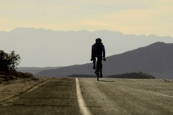 RAAM19