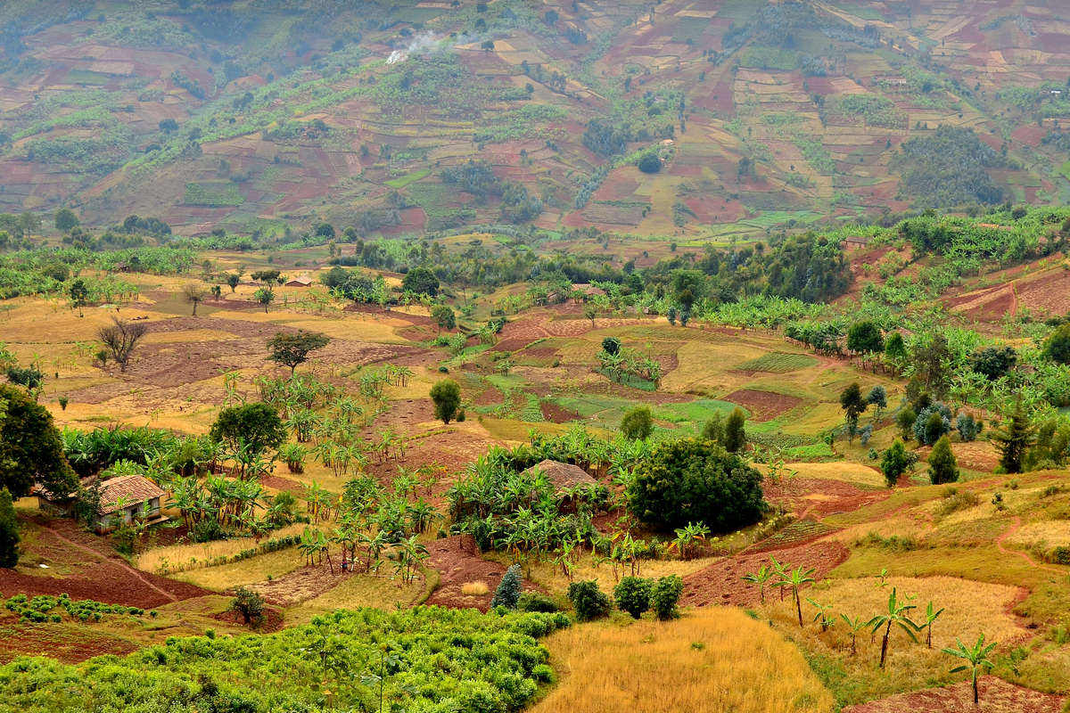 Barevná Rwanda